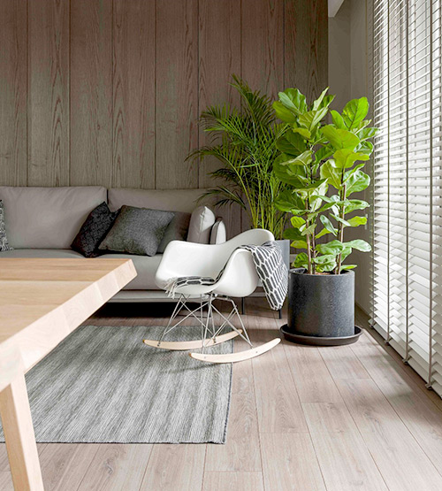 yy易游体育官网