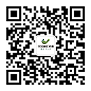 yy易游体育官网